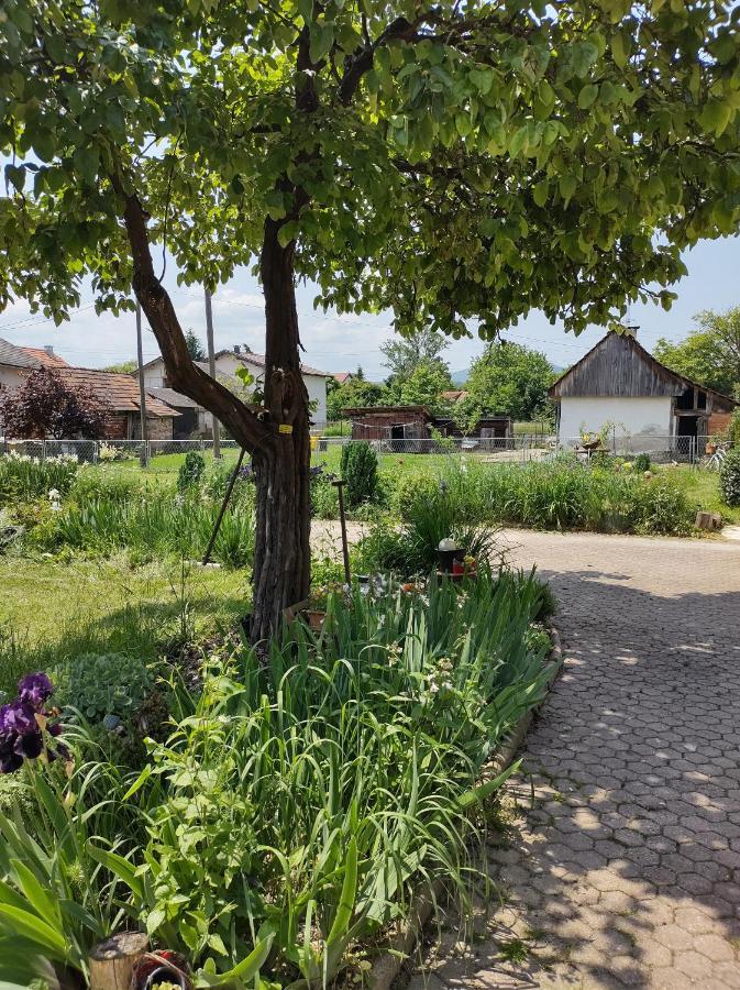 Villa Drenje Kljuc Brdovecki Exteriér fotografie