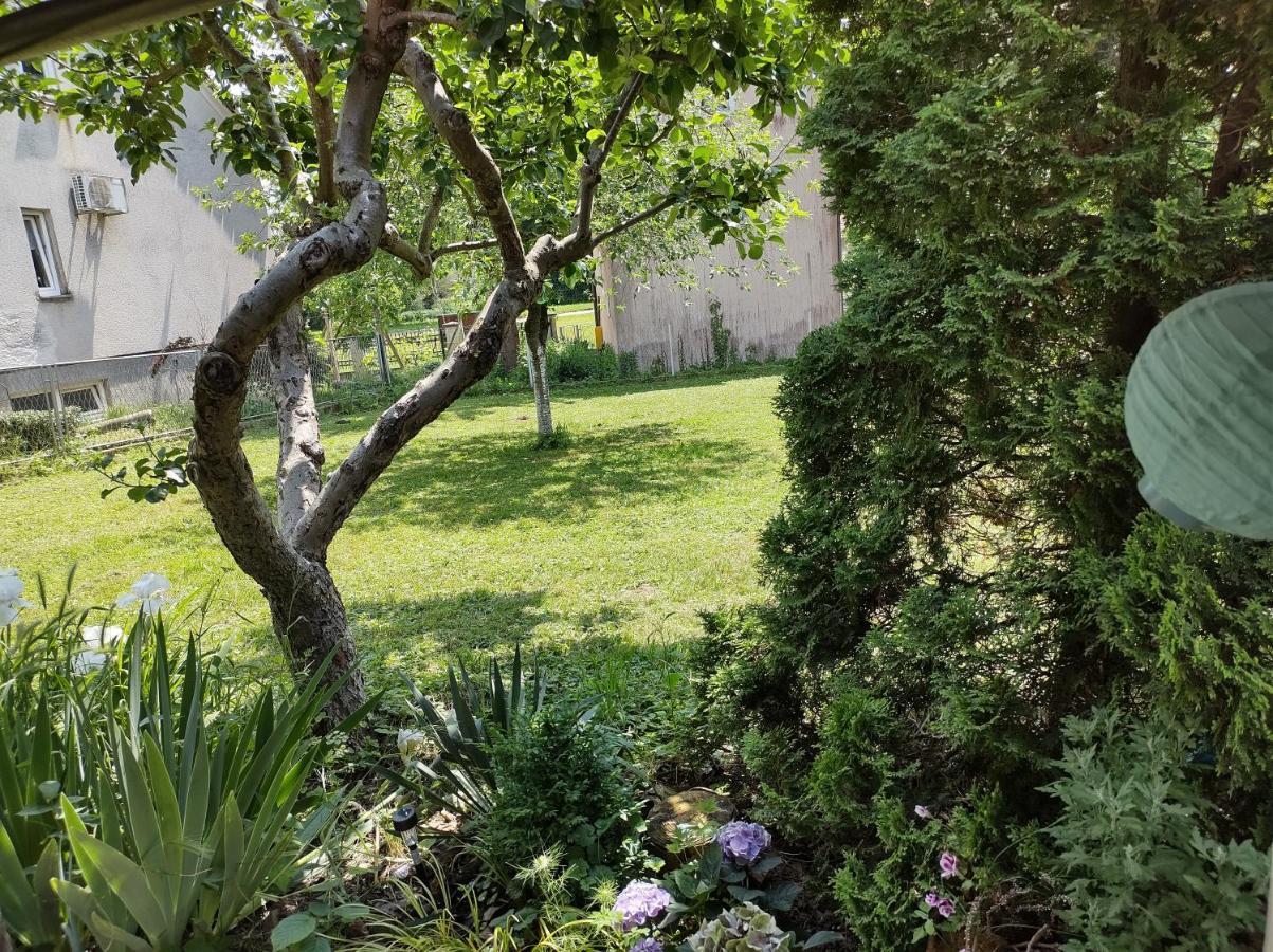Villa Drenje Kljuc Brdovecki Exteriér fotografie
